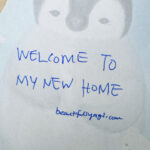 Welcome To My New Home